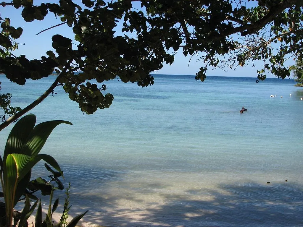 T&T - Tatty And Tony Guesthouse Negril Appartement