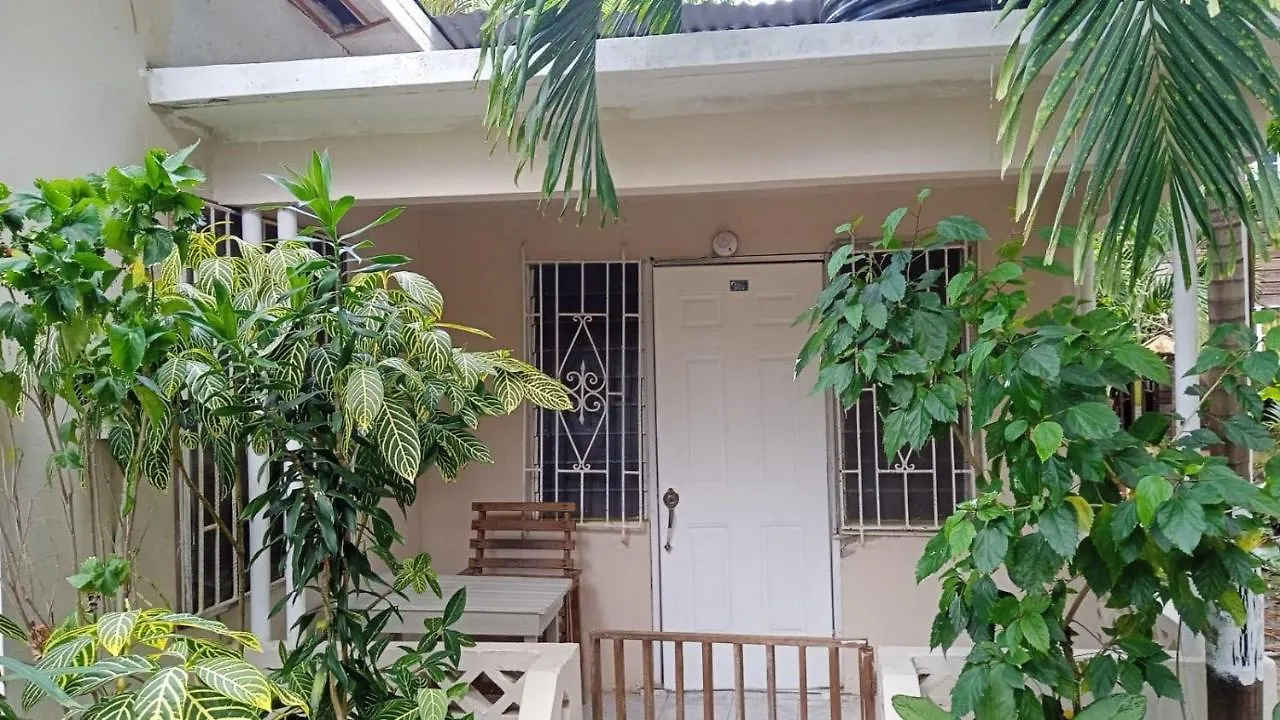 T&T - Tatty And Tony Guesthouse Negril Apartment