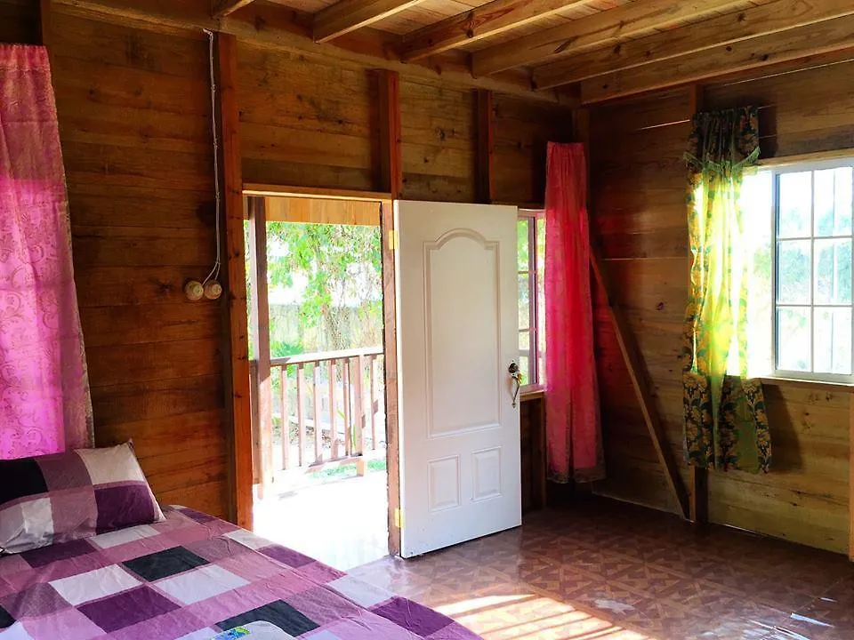 Apartment T&T - Tatty And Tony Guesthouse Negril