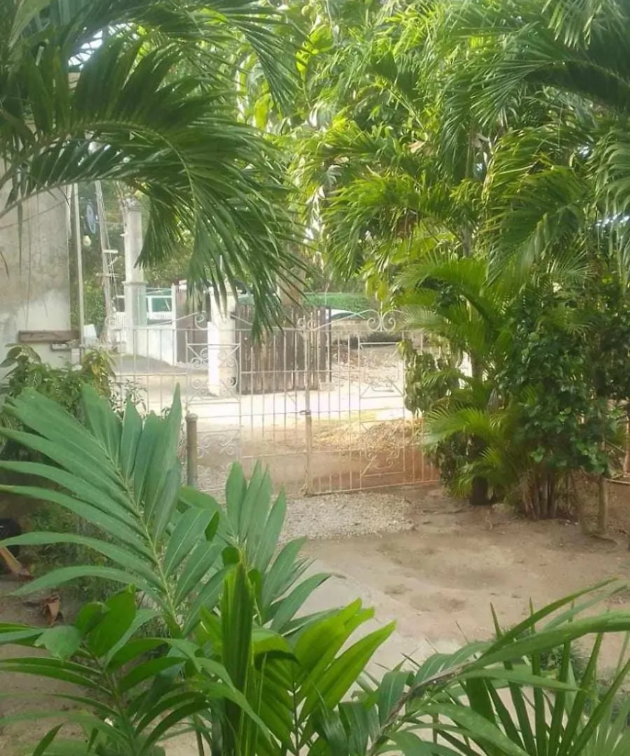 T&T - Tatty And Tony Guesthouse Negril Apartment